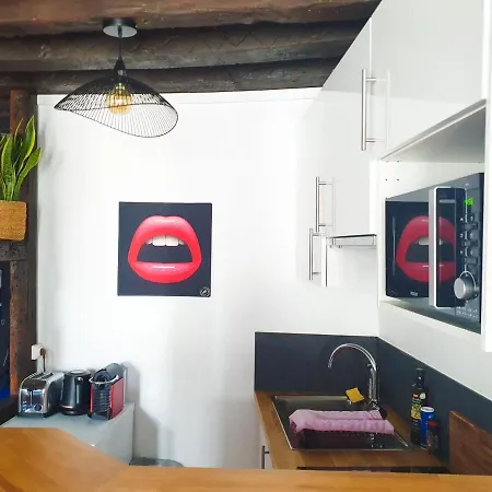 Exigehome-grand En Centre - 300 M Du Rer A Apartment